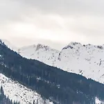 Alpine Chalet Near Zell Am See For 12